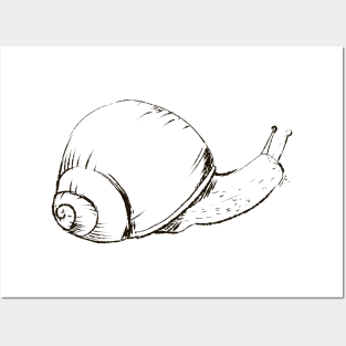 Escargot Snail Slug Lineart Posters and Art